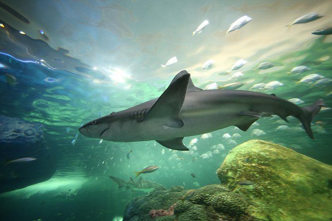roger-clemens-shares-his-5-favourite-holiday-destinations